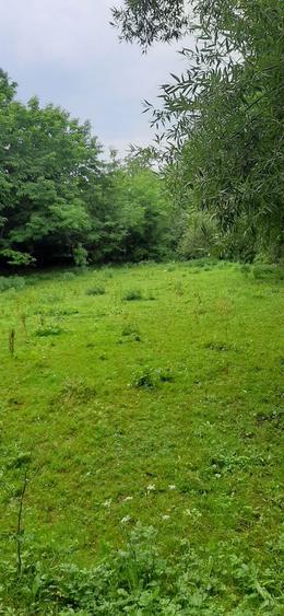 Teren langa Podul Grand- Giulesti sect1 - 1