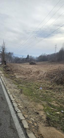 Vand teren clisura dunari - 3