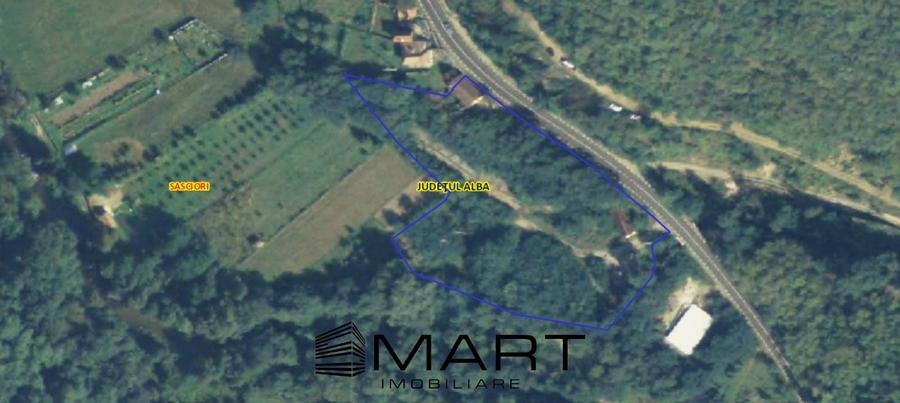 Teren extravilan 7432 mp, cu cabana de lemn Capalna AB - 2