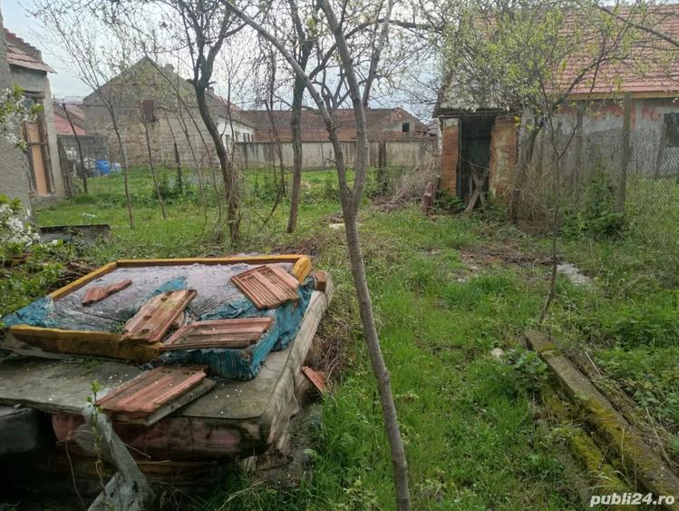 vand casa 8n Moldova veche - 3