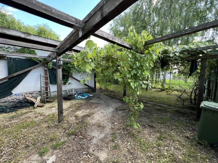 Casa-langa studiourile Buftea, 2 constructii, curte cu pomi, 2300mp, langa lac - 5