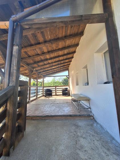 Casa de vanzare in DB, Visinesti, Urseiu - 1