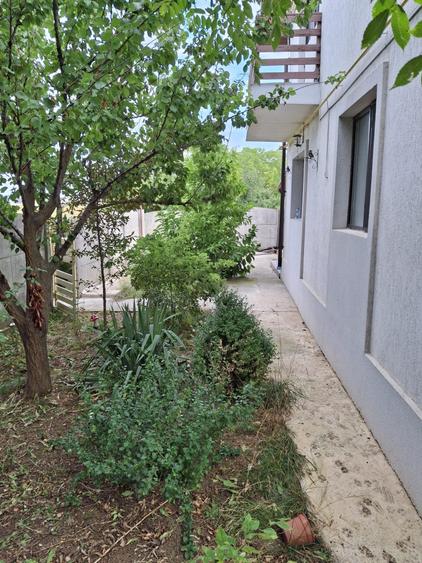 CASA LA CHEIE ! GATA DE MUTARE - 2