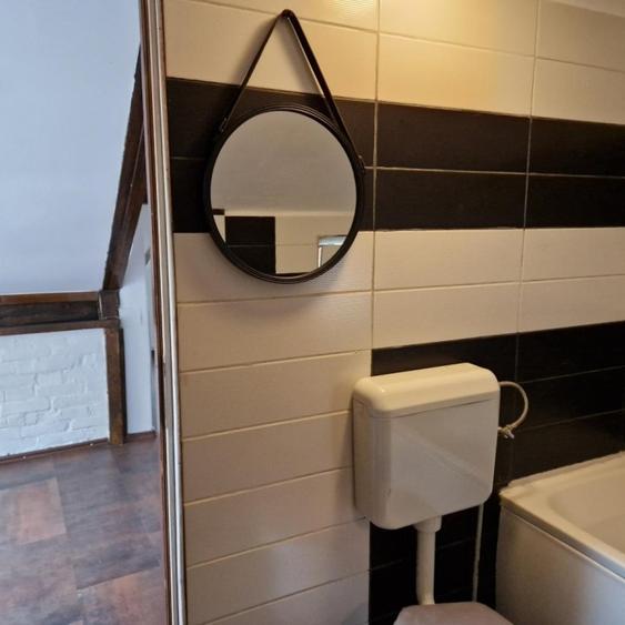 Inchiriere Apartament in Vila, parter+mansarda, zona Chibrit - 11