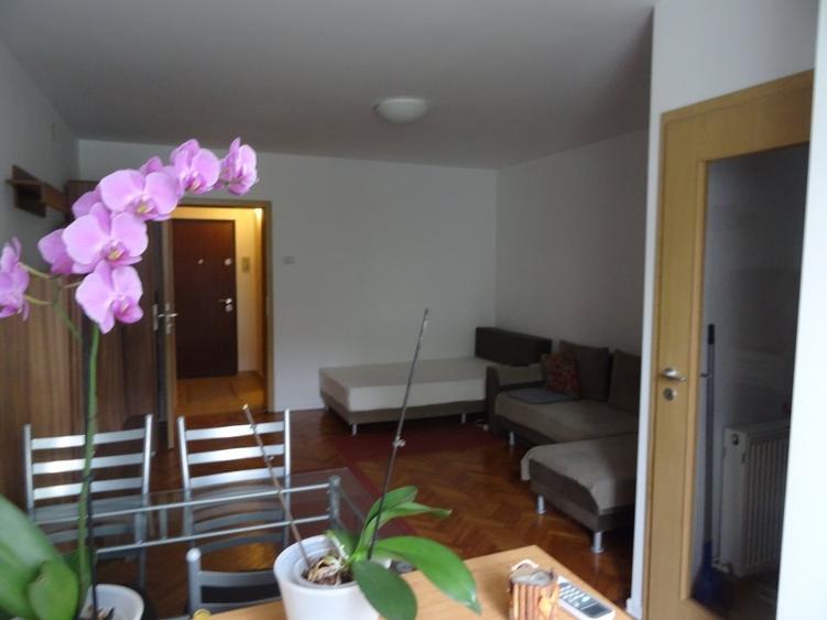 Proprietar inchiriez apartament cochet cu o camera in Timisoara - 1