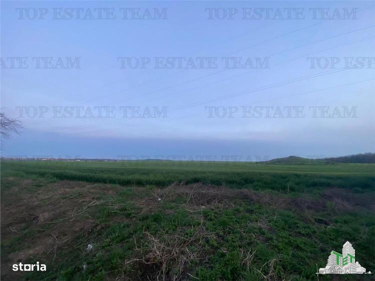 Teren intravilan 15000 mp Costinesti, Constanta - 5