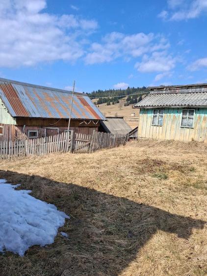 Casa lemn masiv acoperita recent + 5 anexe + teren peste 15000 mp la 46000 Euro negociabil - 4