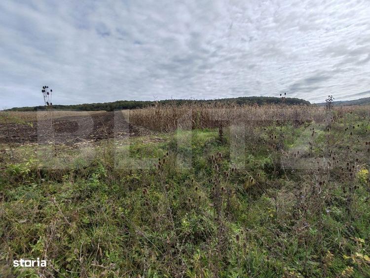 Teren intravilan de vanzare - 1