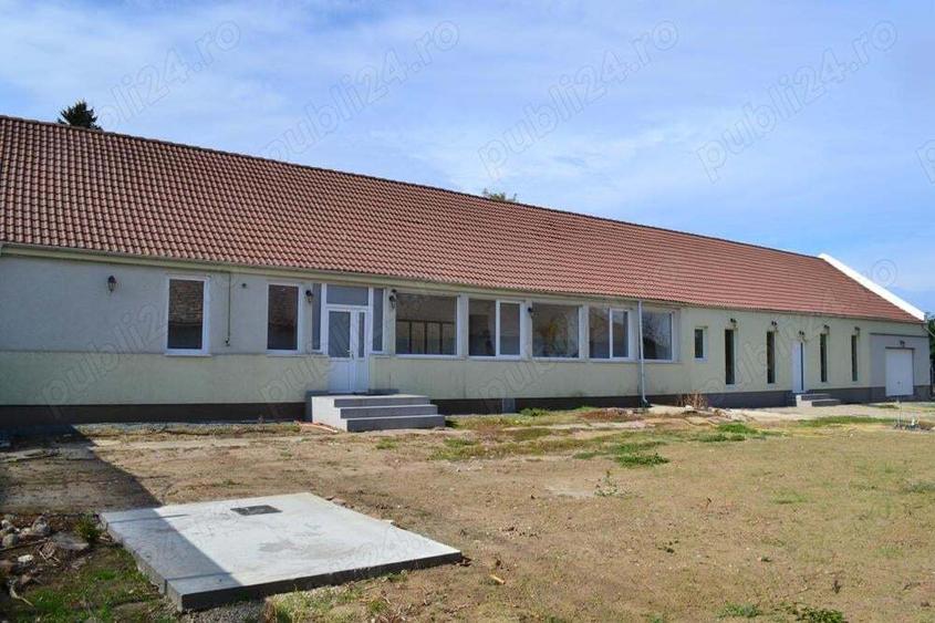 Casa Peciu Nou renovata 270 mp utili,4330 mp teren front 25 ml - 2