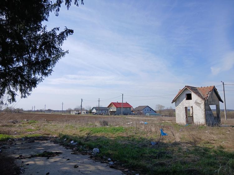 Teren intravilan 16400 mp, Balotesti-Saftica - 50 euro/m2 - 6