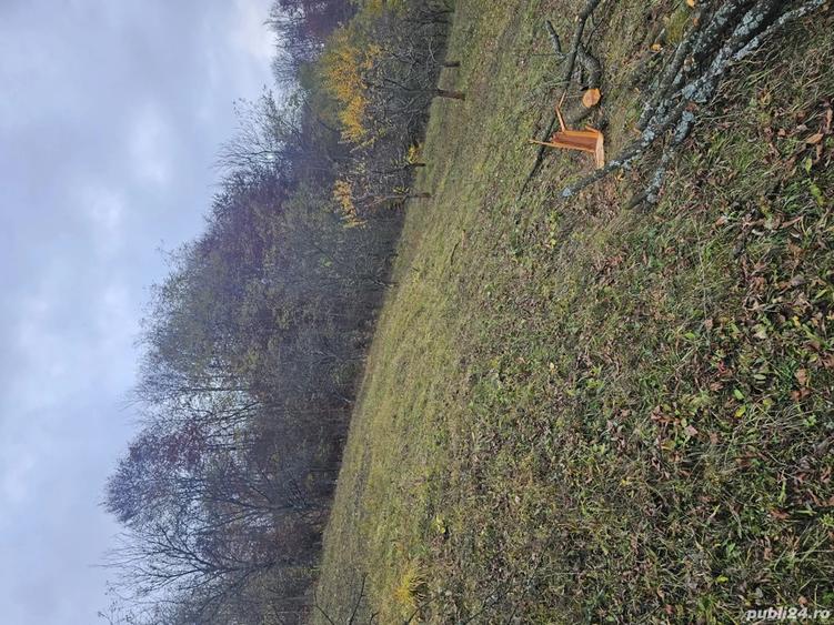 vand casa si teren - 6