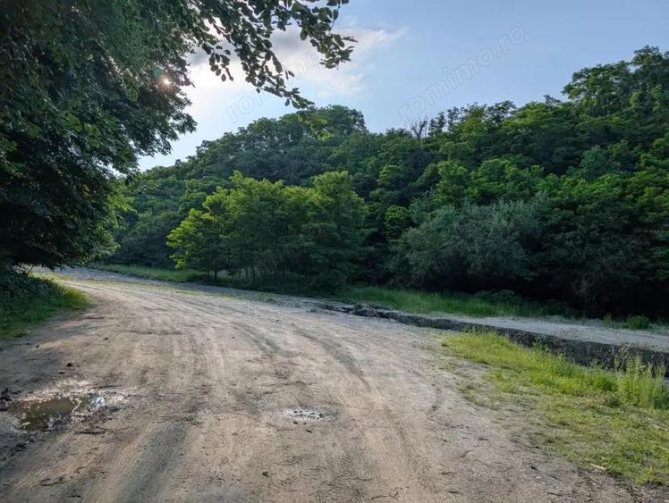 Sarata Bai- Oportunitate investi?ie- 4038 mp- priveli?te spectacol - 3