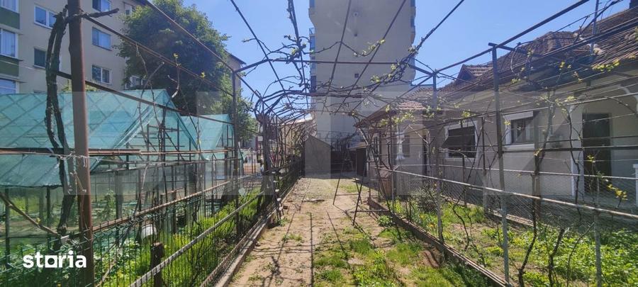 Casa Spatioasa cu Gradina, Garaj si Livada Oaza de Liniste in Tar - 3