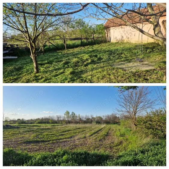 Vand Casa in Bojt - Ungaria - la 15 km de vama - 8