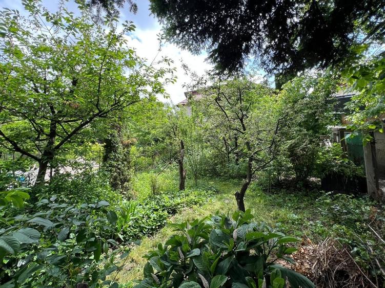 0 % comision, Casa cu 394 mp teren situata in zona Belvedere - 14