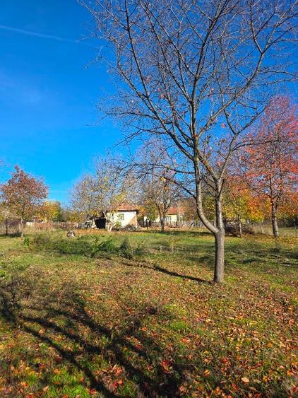 Teren intravilan in Buzau, sat Tega, 3300 mp - 6