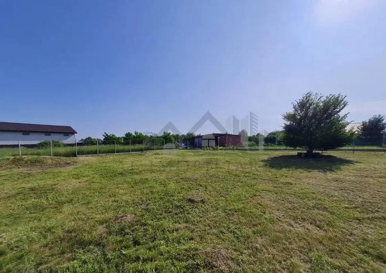Valea Ursului langa padure TEREN 912mp lot pentru casa in - 6