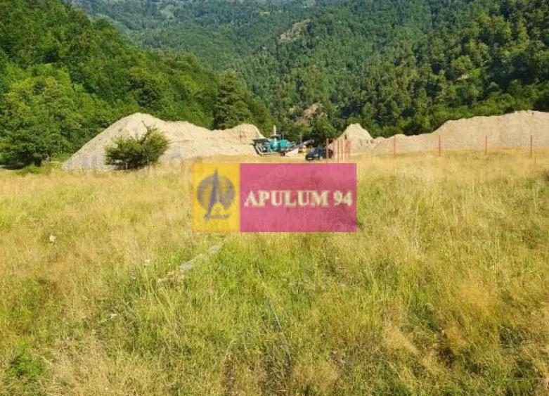 Teren Jude?ul Valcea - Brezoi, Valea lui Stan - 3