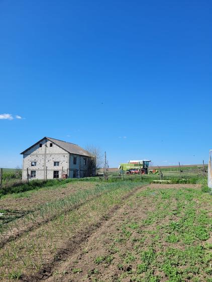 Fermă de vânzare - DN3 - 84m deschidere - 1