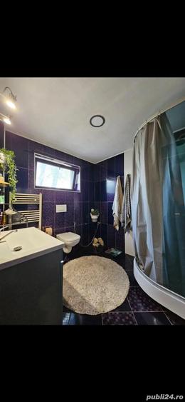 Domeniu vila cu piscina Bragadiru - 5