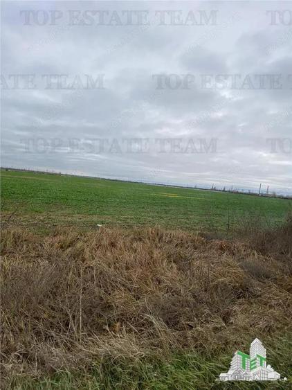 Teren Extravilan in Prahova - 5