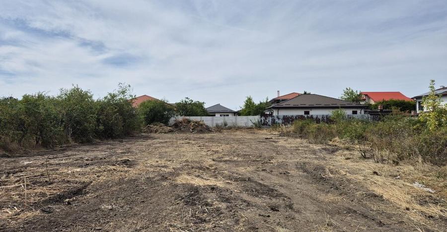 Teren intravilan 1000 mp - Domnesti - 1