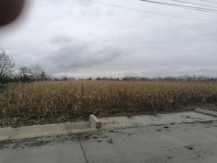 Teren intravilan Fratautii Noi - 1