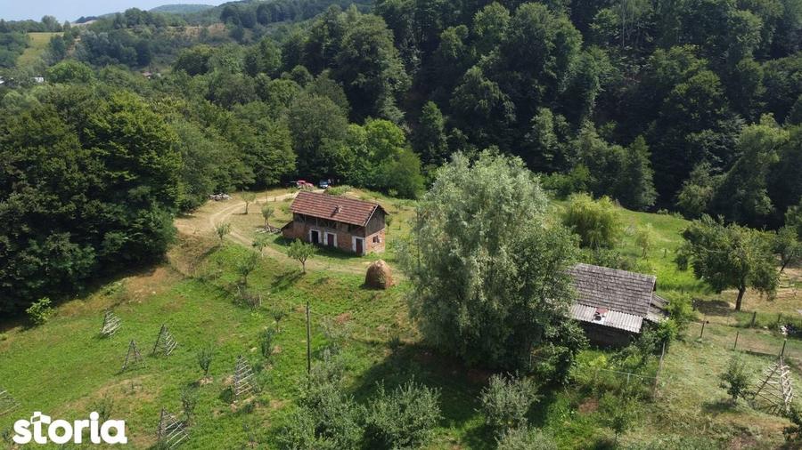 Teren de vanzare in comuna Cicane?ti, sat Bara?ti, Judet Arges. - 7