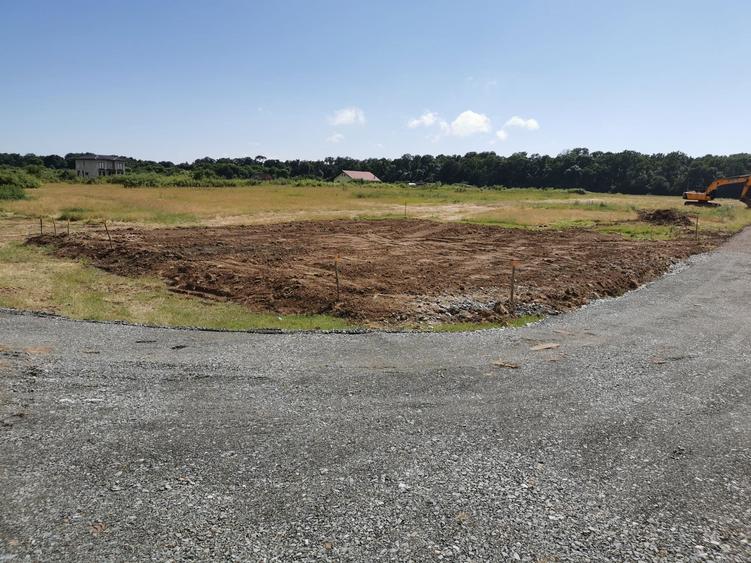 Teren de vanzare padure Giroc - 2