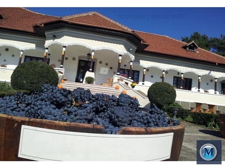 Spatiu comercial de vanzare in Urlati, zona Est, 951 mp #13244 - 16