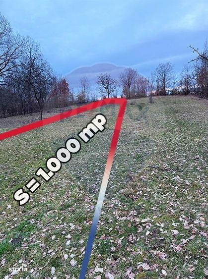 Teren intravilan cu priveliste de vanzare in Rus - 6