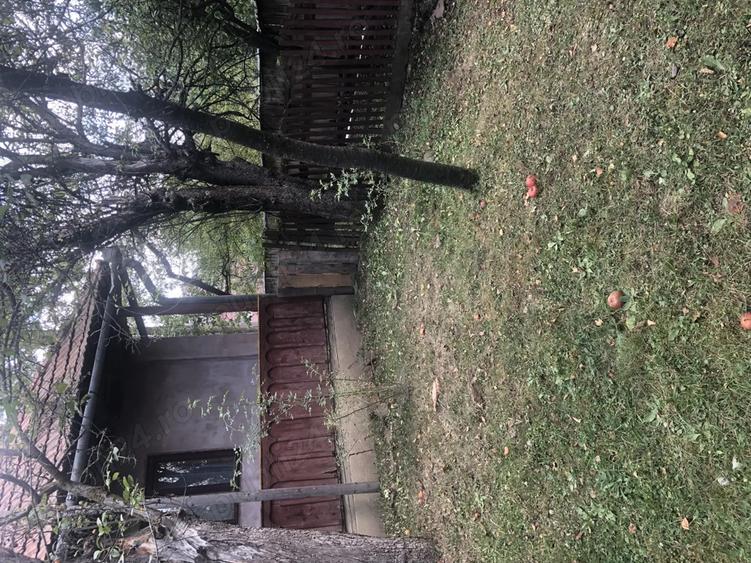 Casa batraneasca de vanzare in satul Martanus, Jud. Covasna - 5
