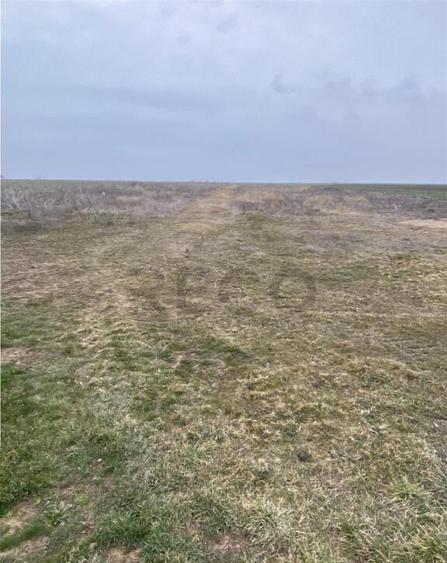 RECO Teren intravilan in Livada de Bihor 1000mp - 3