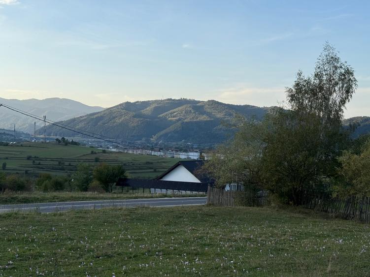 Teren intravilan 500 sau 1000 mp Bran-Tohanita la dum asfaltat - 3