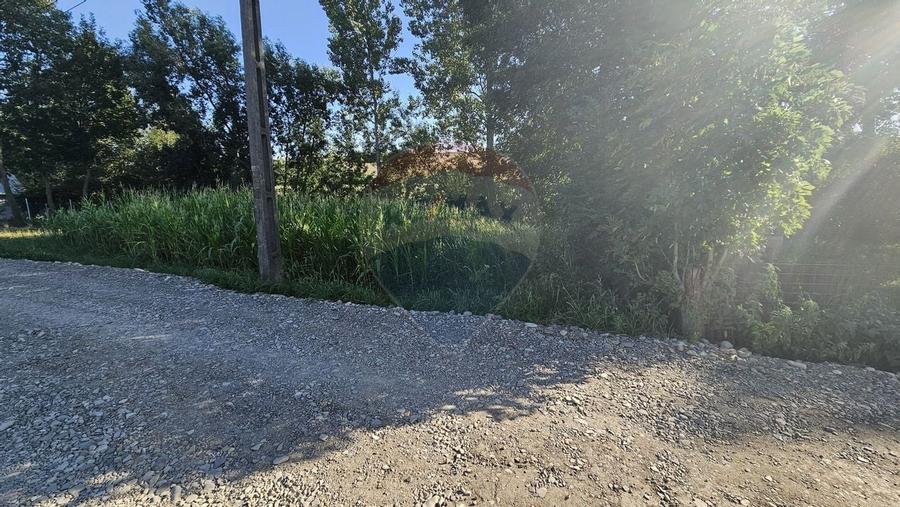 Teren intravilan, 7500 mp in Moara Carp / Strada Eternitatii-Suceava - 11