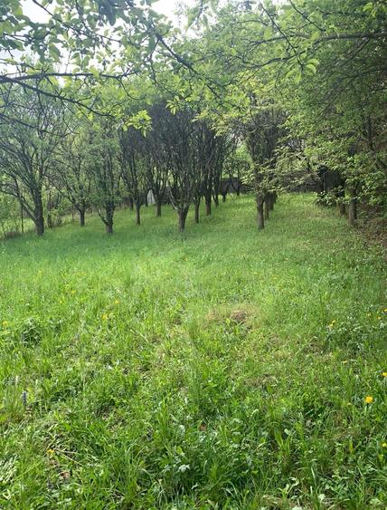 Statiunea  Breaza Vanzare Vila(Pensiune)+10 camere Comision 0% Cumparator! - 7