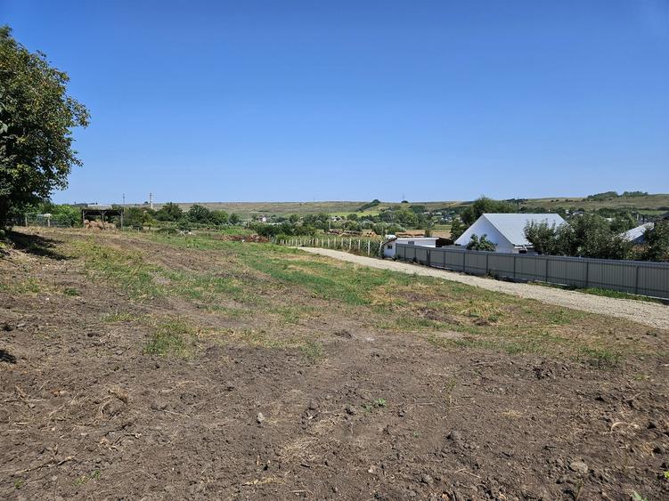 Teren intravilan, loc de casa in Cismea, Rachiti Botosani - 7