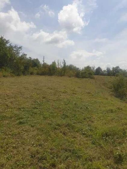 Vand teren intravilan la Seciu - 6