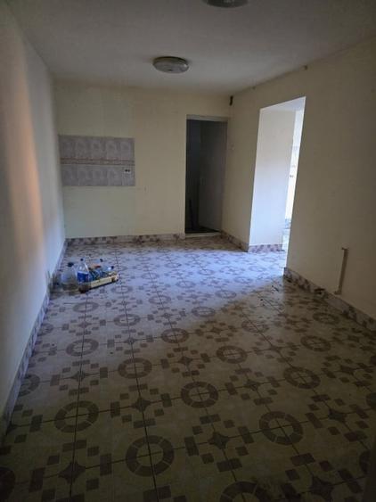 Fratelia- Casa si teren- 1438 mp - 14