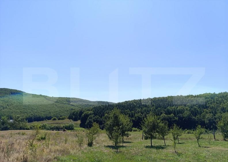 Teren 10200mp , toate utilitatile , la 10 km de DEJ - 3