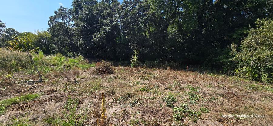 Loc de casa  langa padure - 1