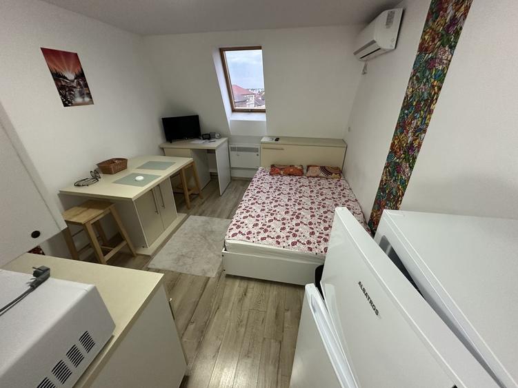 Apartament 1 camera la Mansarda - 4