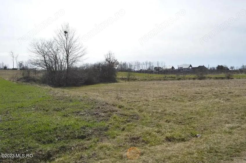 Suseni - Teren intravilan rezidential, suprafata 4000 mp - 3