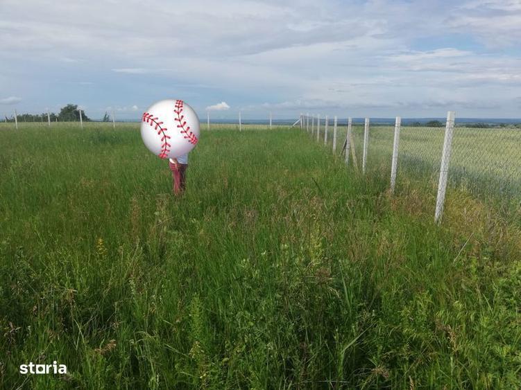 3,5 ha teren Vaculesti - 6