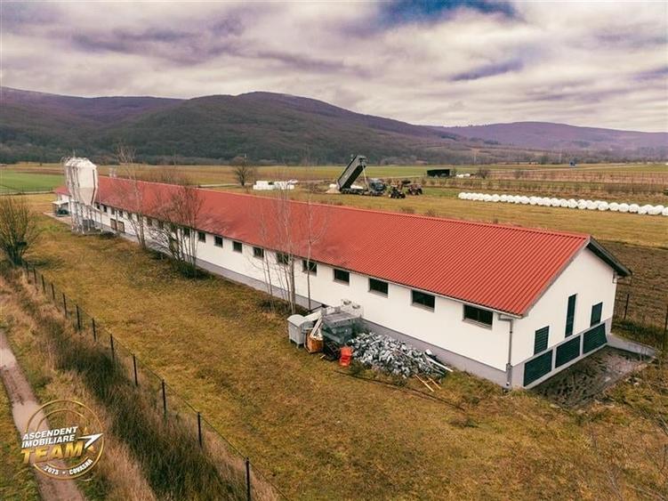 FILM! Ferma de iepuri,Malnas,Covasna: domeniu:comercial/industrial,asset UE - 26