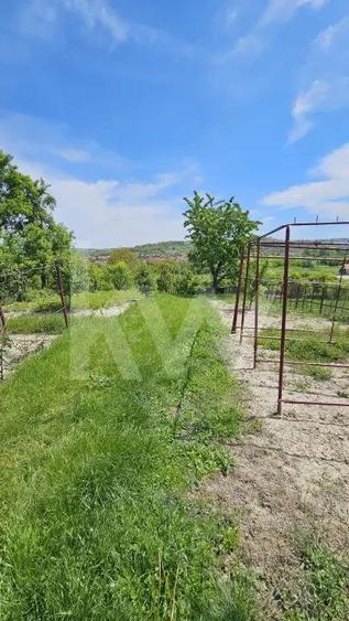 Casa cu poveste si potential locul perfect pentru un nou inceput in Seica Mare - 4