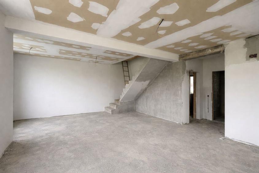 De vanzare in Mosnita Noua - 1