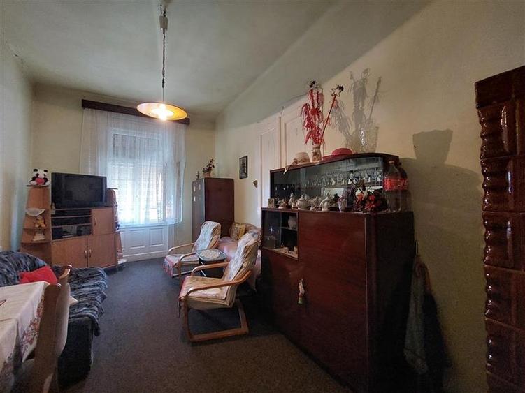 OCAZIE! Apartament spatios, singur pe nivel, zona Metianu! - 10