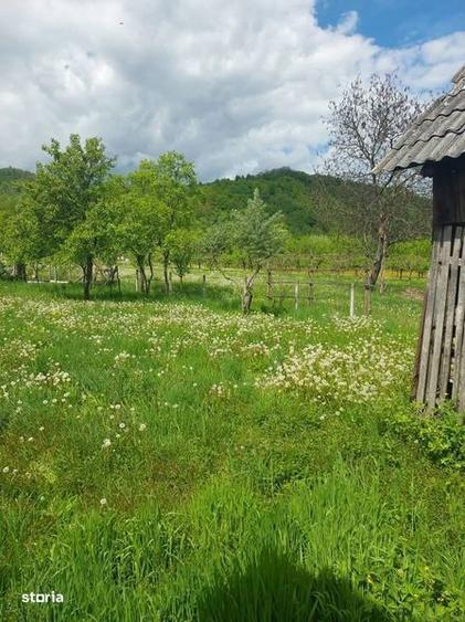 Doua case in zona linistita 1500Mp - 1