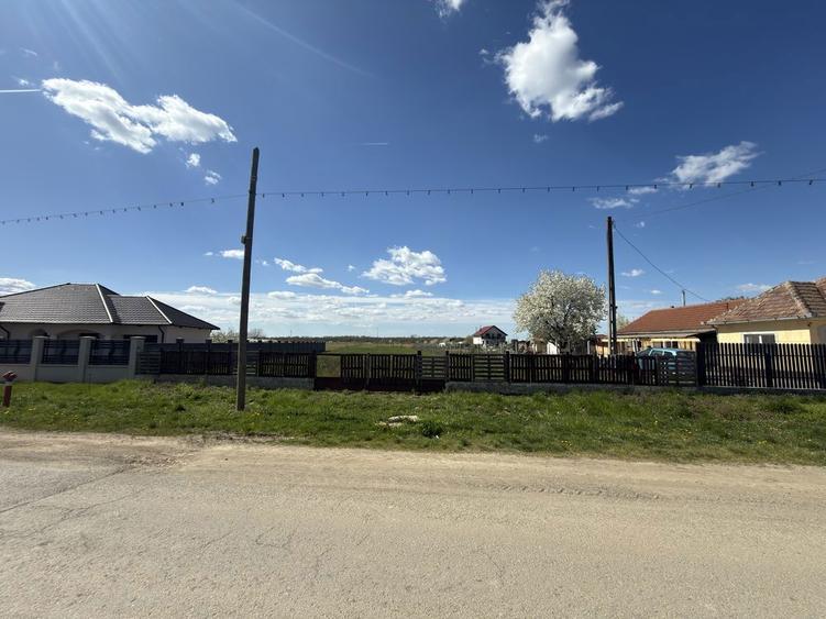 Vand teren intravilan Micula noua - 1